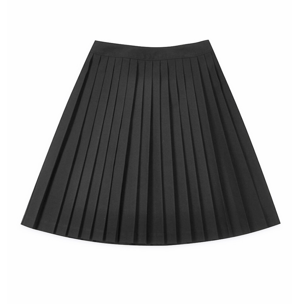 Pleated Silk Skirt